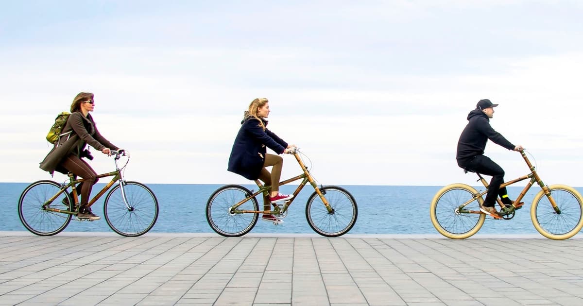 Barcelona: Private Highlights Tour by Bamboo Bicycle