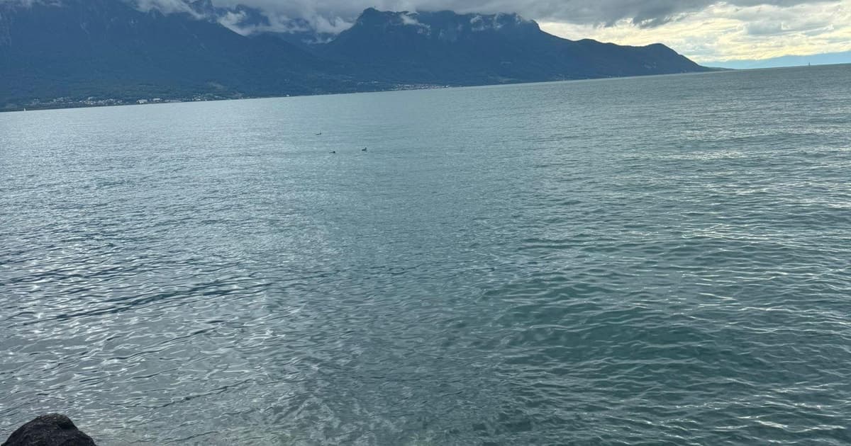 Ginebra: excursión de lujo privada de 1 día a Interlaken