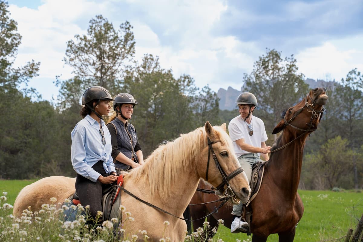 Desde Barcelona: tour a pie y a caballo por Montserrat