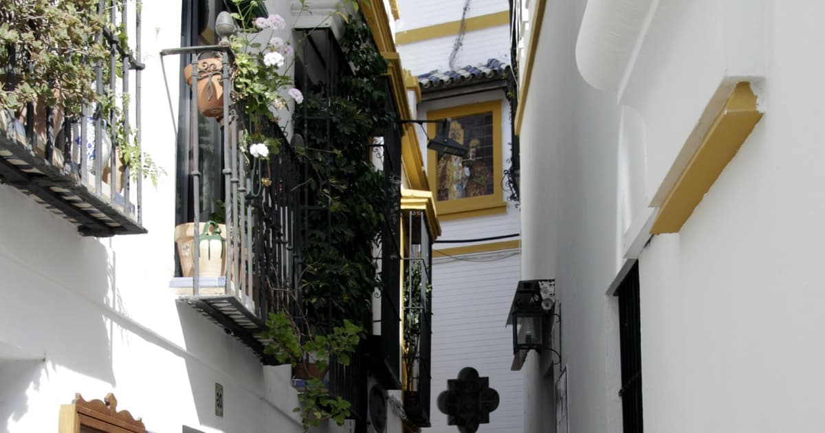 Seville: Santa Cruz, Cathedral, and Giralda Guided Tour