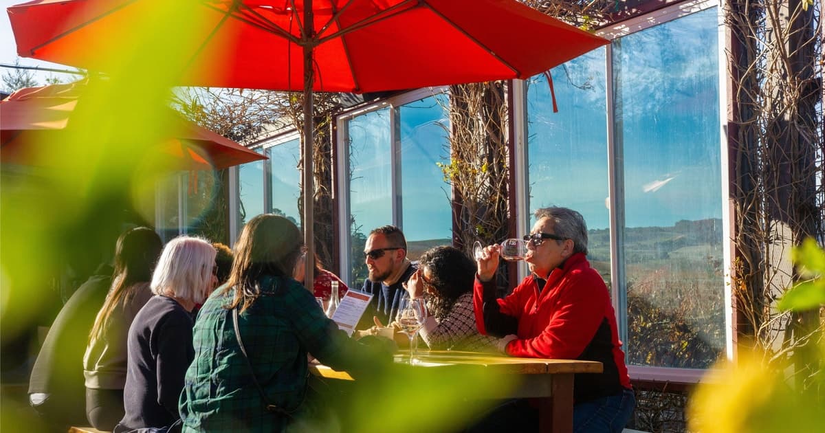 San Francisco: Napa & Sonoma Wine Tour with Optional Tasting