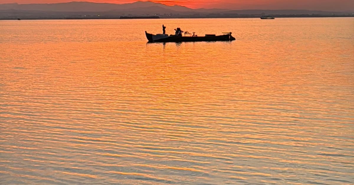 Albufera Valencia: Paseo guiado en barca eléctrica, también puesta de sol