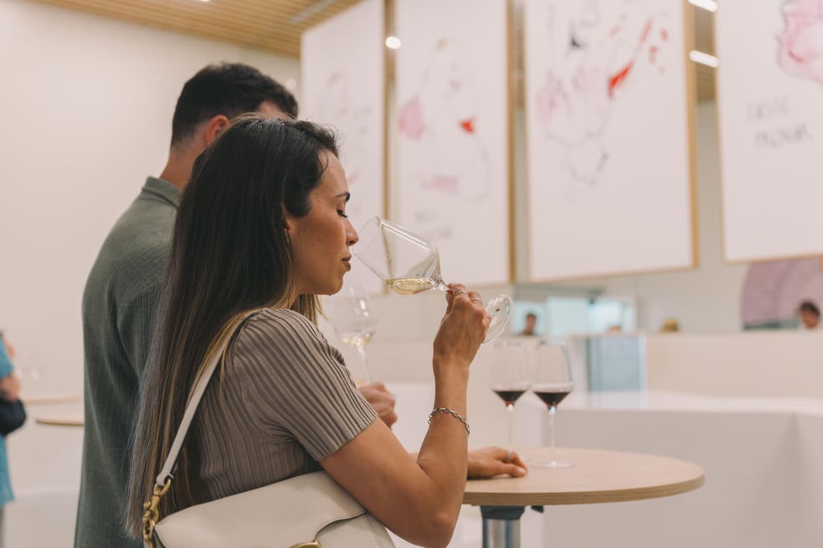Porto: WOW Day Pass - Museums, Wine & Chocolate Tasting