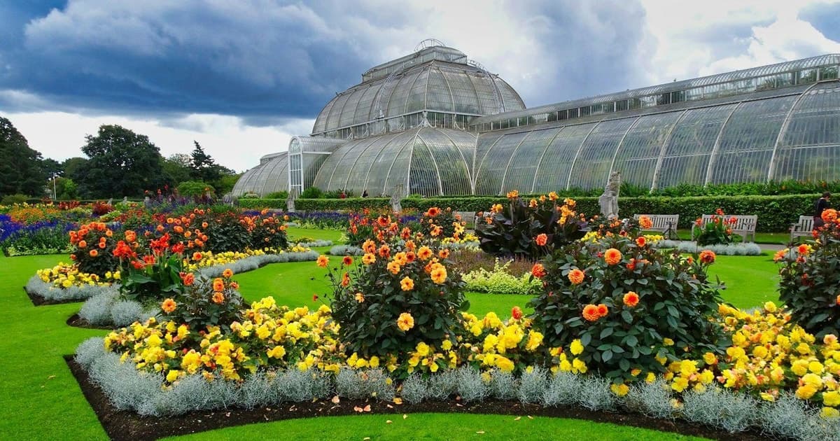 Kew Gardens: Entry Ticket & Digital Tour