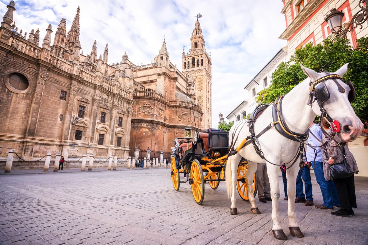 Sevilla: visita guiada a la catedral, la Giralda y el Alcázar