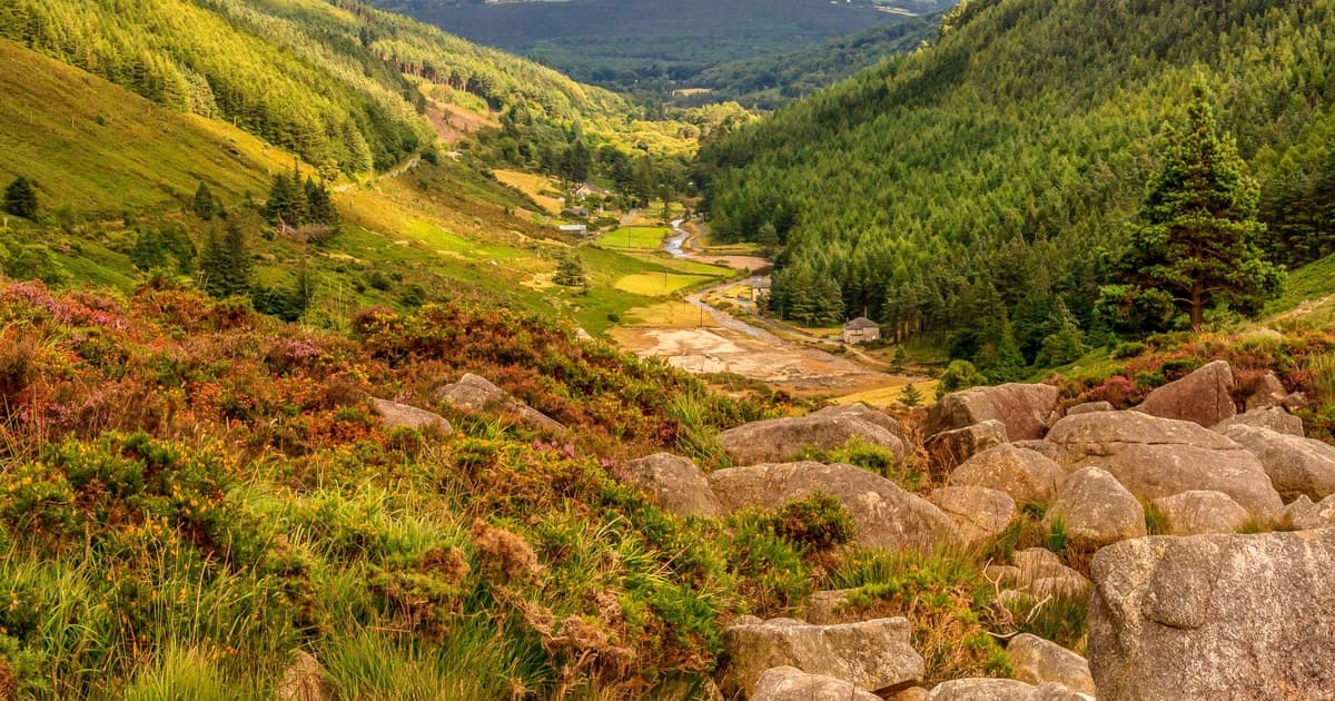 Dublin: Wild Wicklow Mountains, Glendalough & Guinness Lake