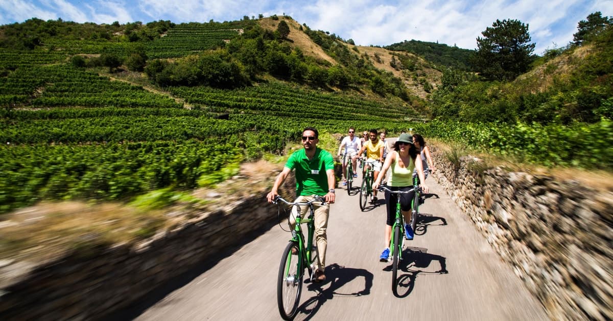 Grape Grazing: Wachau Valley Winery Biking Tour
