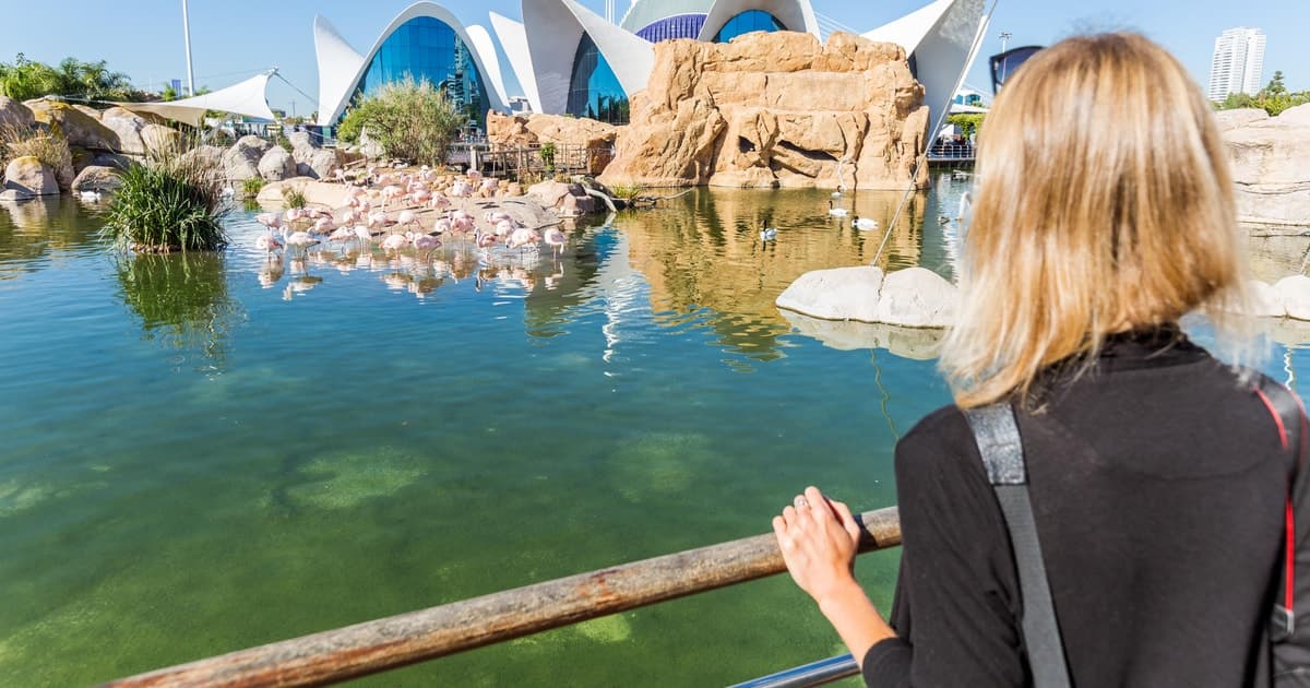 Valencia: Combo Oceanogràfic y Museo de las Ciencias