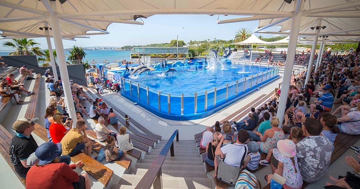 Costa d'en Blanes: Ticket de entrada a Marineland Mallorca