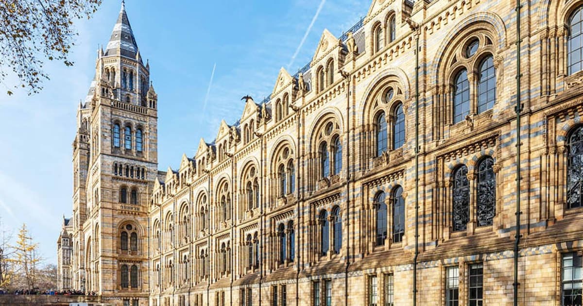 Natural Museum: Diplodocus to Blue Whale Wonders