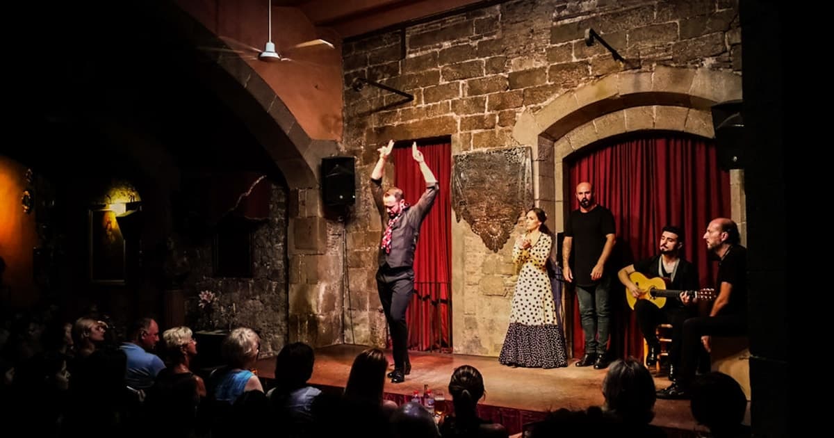 Barcelona Private Tour: Tapas & Wine Tasting & Flamenco Show