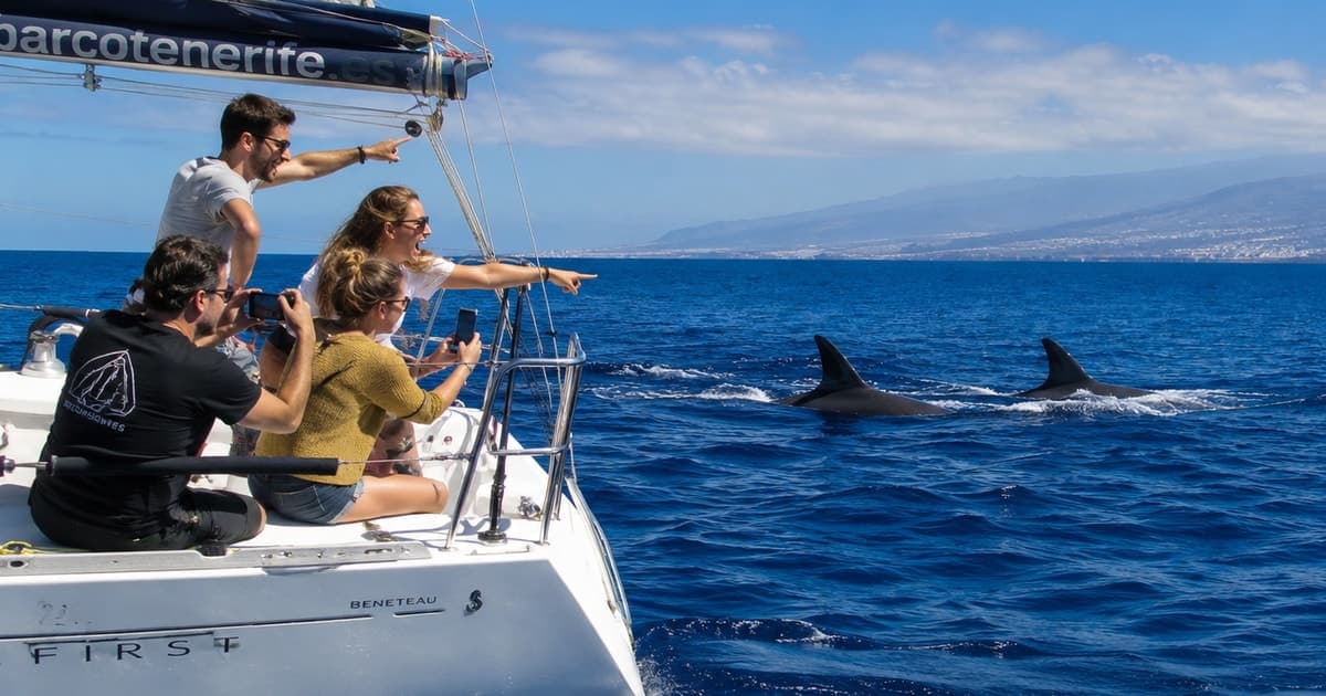 Los cristianos: Soñador Small-Group Sailing Trip with Food, Drinks &Swim