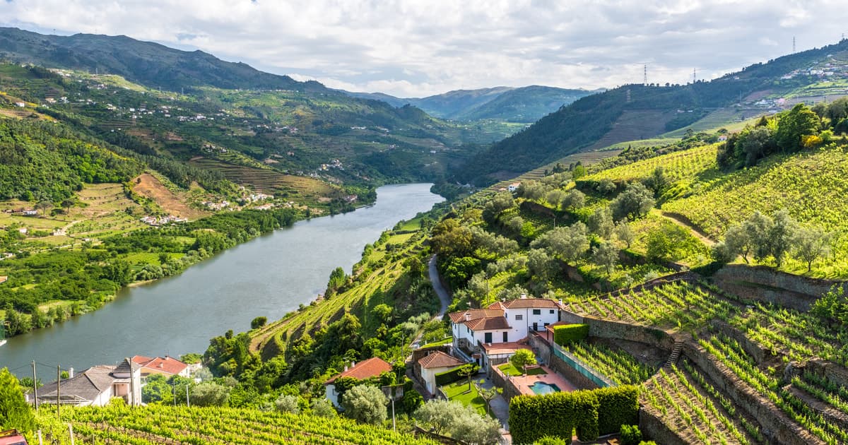 From Porto: Full-Day Douro Historical Tour