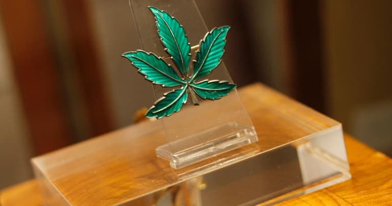 Museo del Cannabis en Barcelona: Entradas