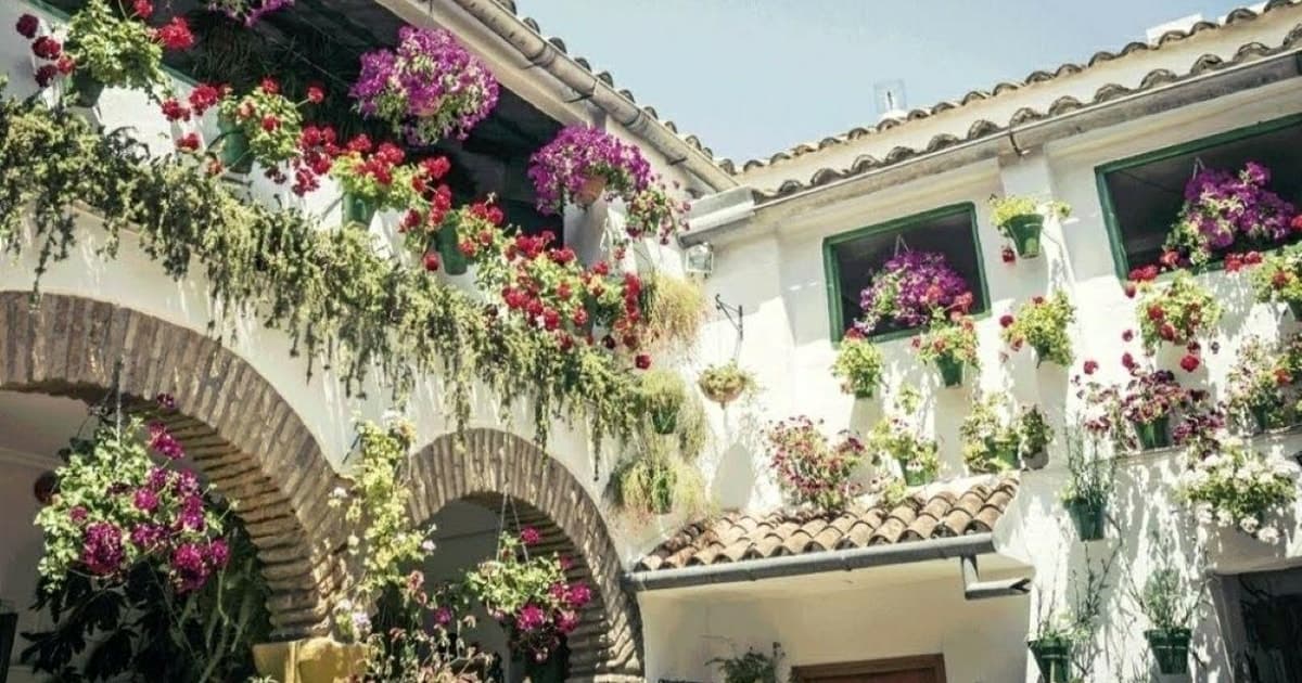 Descubre los Patios de Córdoba: Un Tesoro de Color y Tradición.
