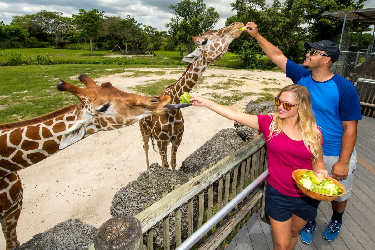 Zoo Miami: ticket de entrada general