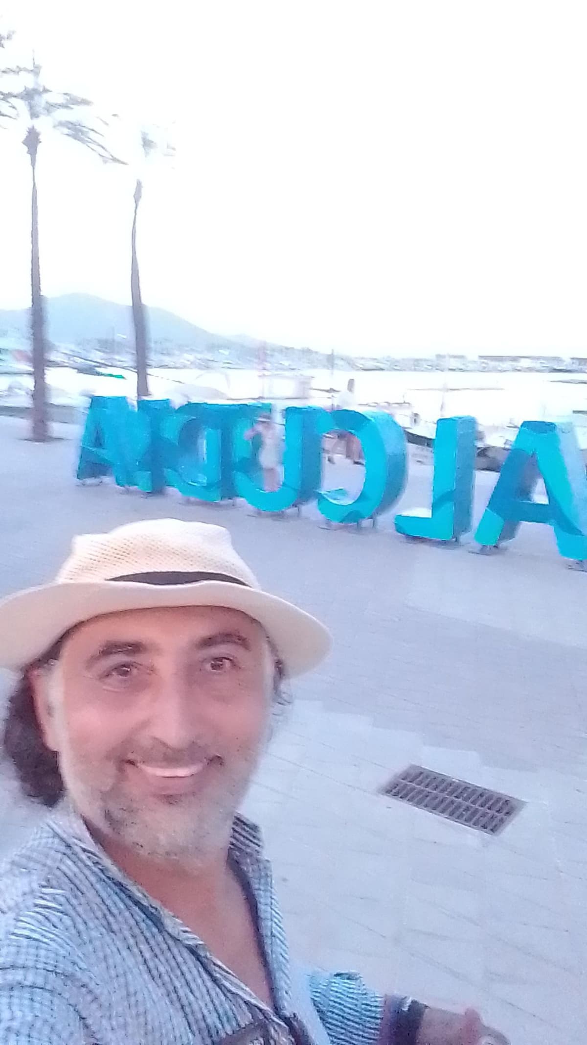 Desde Palma: Visita guiada a la ciudad de Alcudia y al Puerto de Pollença