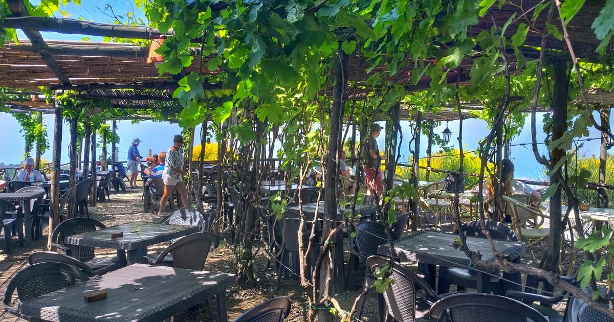 From Sorrento: Mount Vesuvius Tour with Lunch & Wine Tasting
