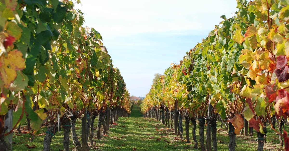 Barcelona: Private E-Bike Tour and Wine Tasting