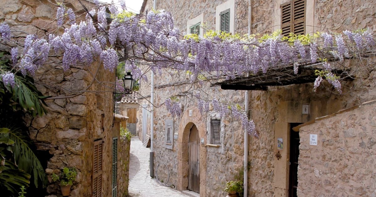 Valldemossa: Descubre Valldemossa con un traslado desde Palma