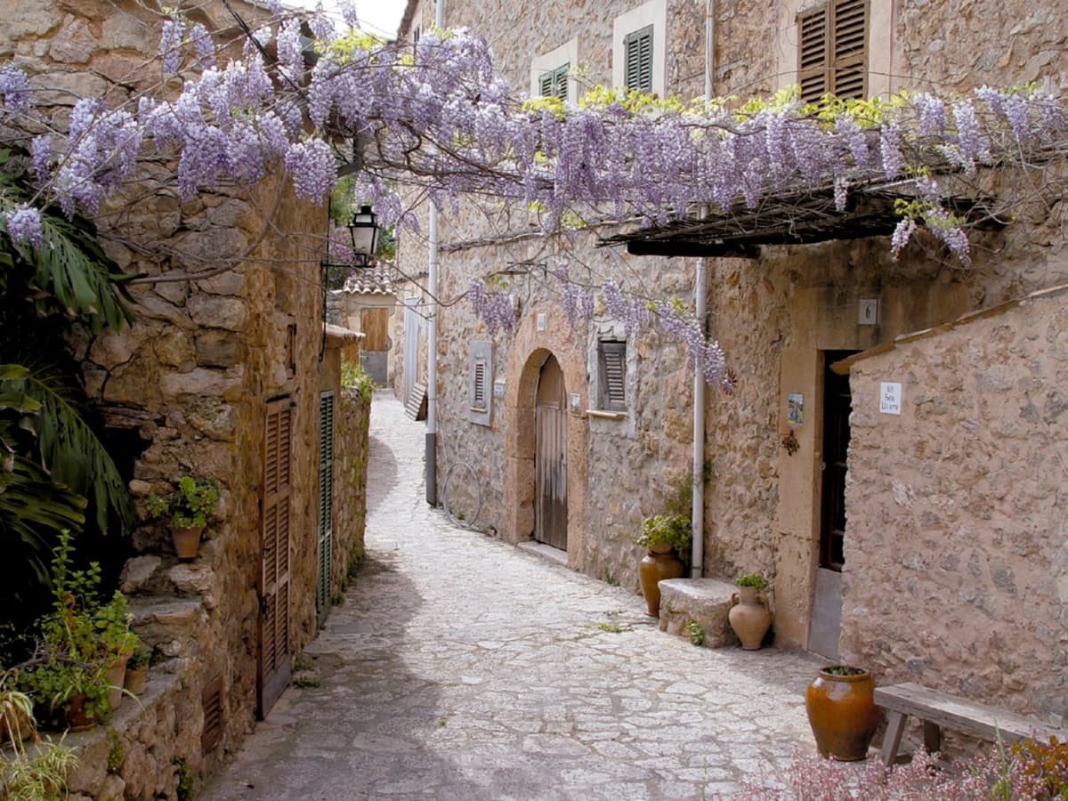 Valldemossa: Descubre Valldemossa con un traslado desde Palma