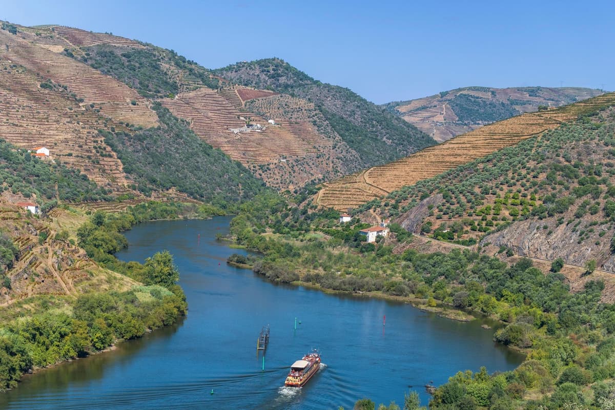 Porto: Guimaraes & Douro Valley with Wine Tasting & Cruise