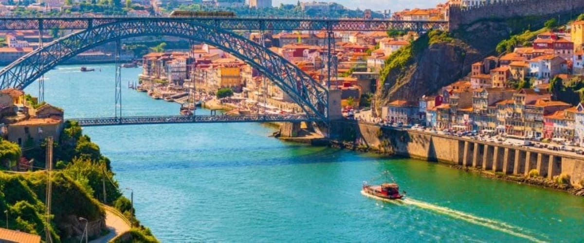 Porto: Douro River Cruise and 48-Hour World of Wine Day Pass