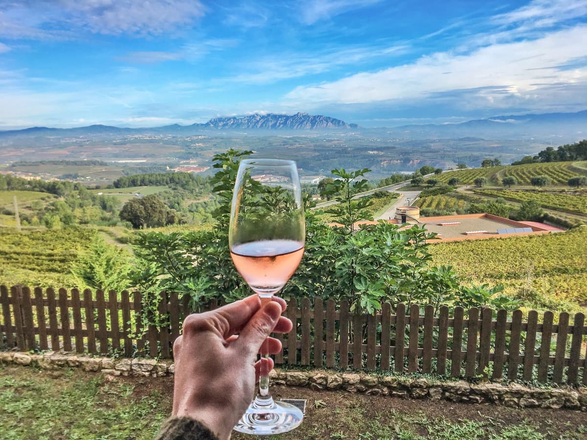 Paris: Two Reims Champagne Vineyards with Tastings and Lunch