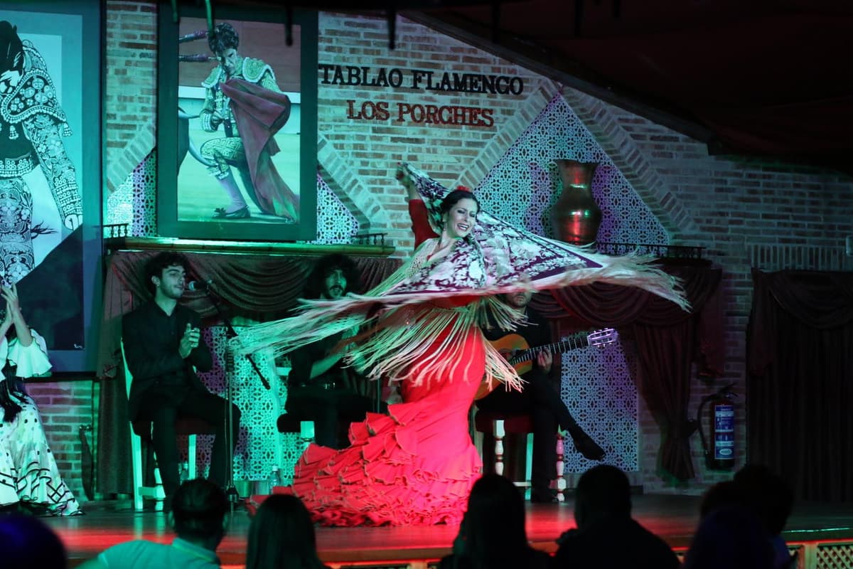 Madrid: Espectáculo flamenco Los Porches con tapas y entrada de vino