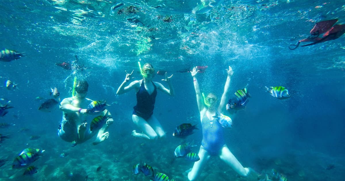 Puerto Vallarta: Yelapa and Majahuitas Beach Adventure