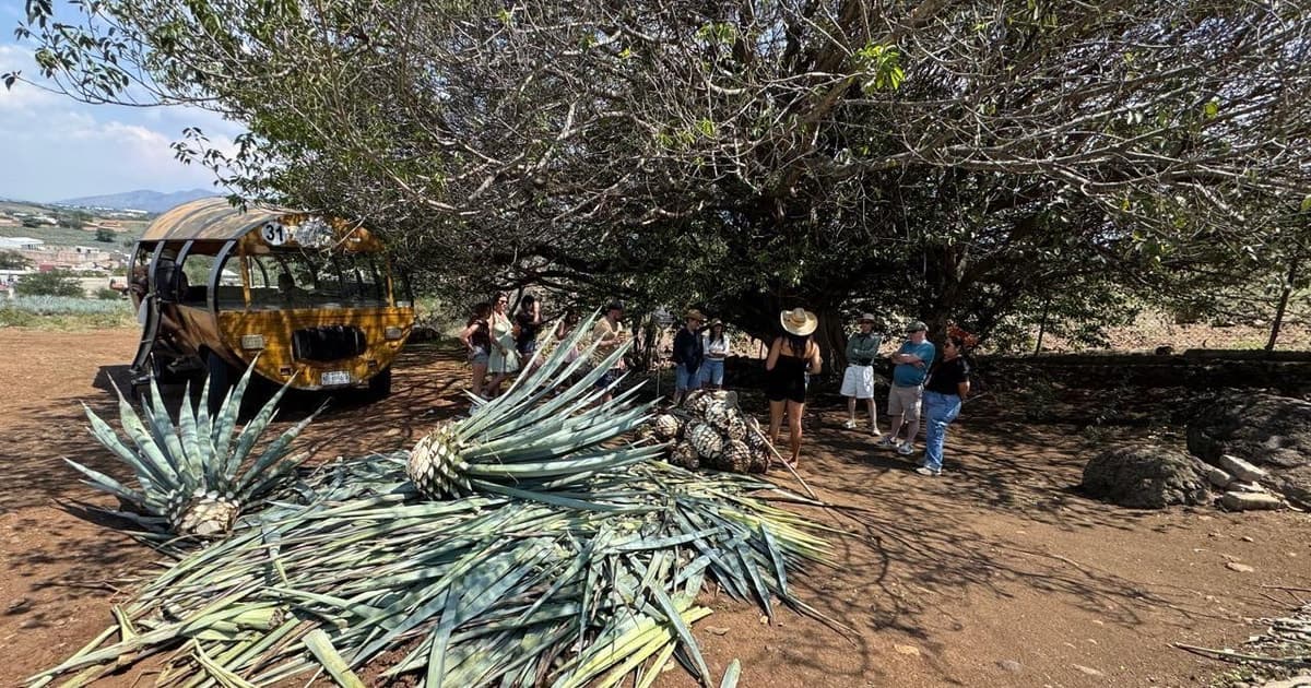 Tour a Tequila desde Guadalajara: Recorrido en Barril
