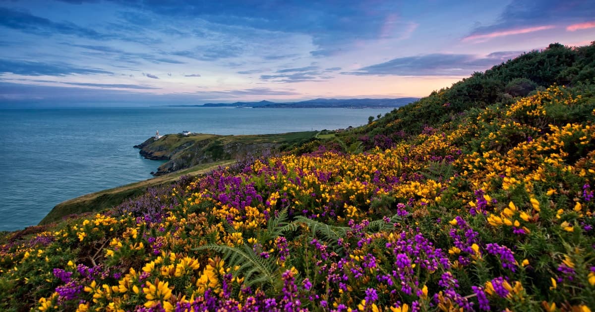 From Dublin: Half-Day Guided Coastal Tour to Howth Village