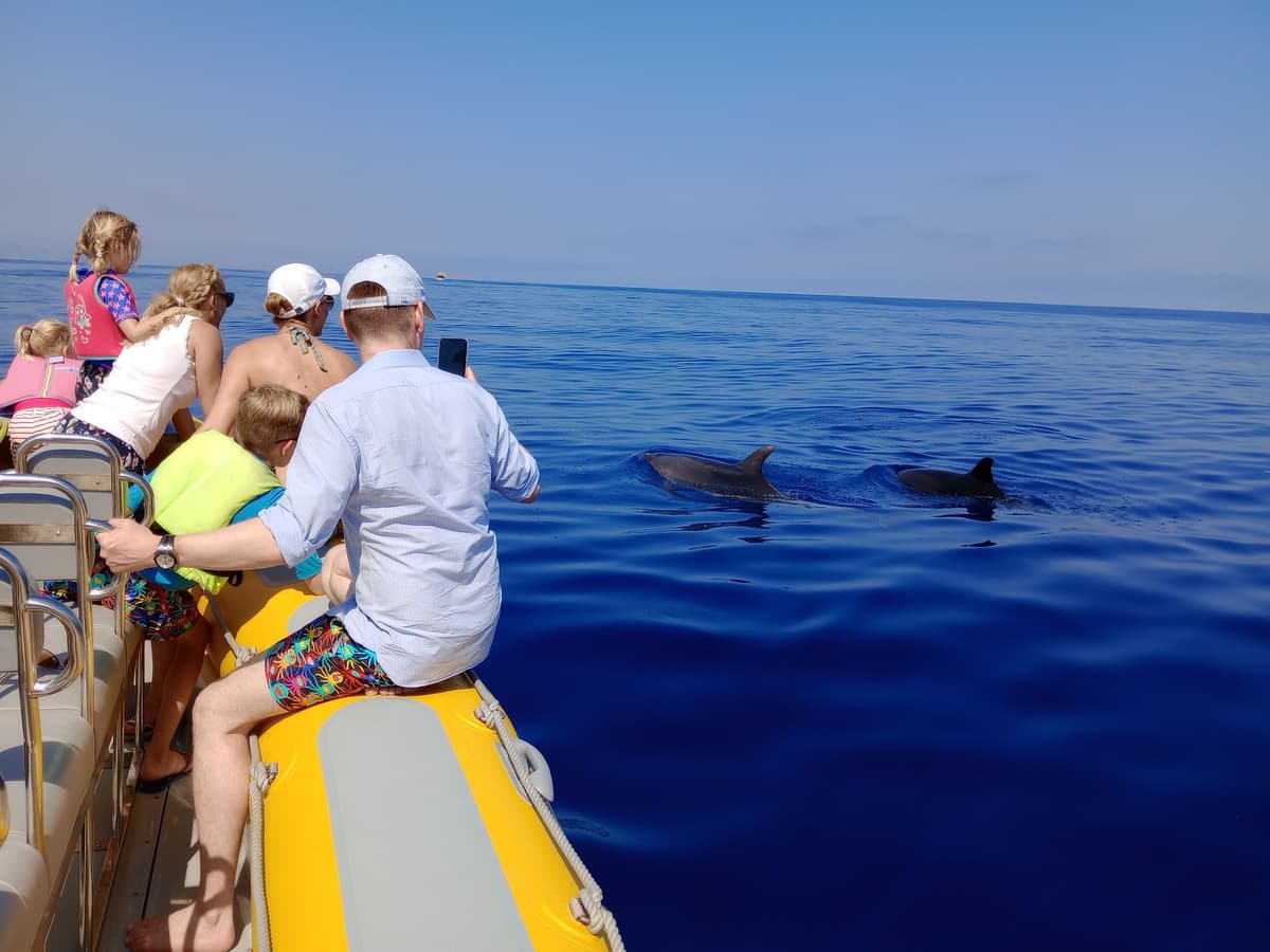 Can Picafort: tour en barco para avistar delfines, parada para nadar