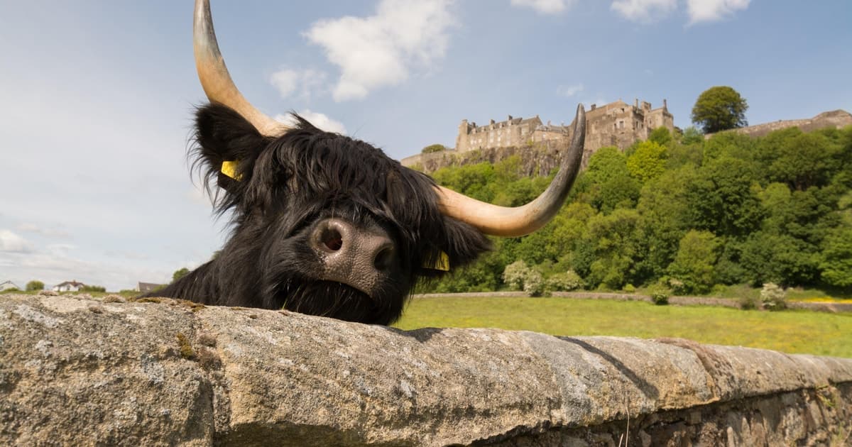 From Edinburgh: Loch Lomond, Stirling Castle & Kelpies Tour