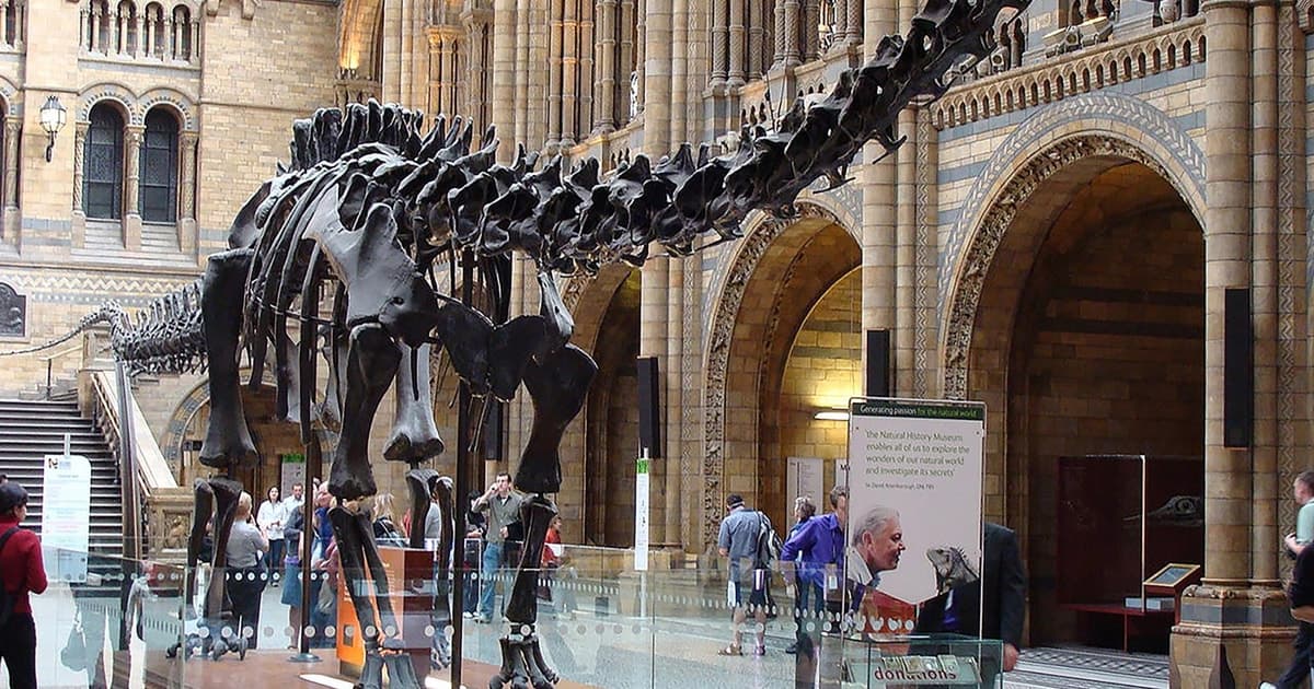 Discover Evolution at the Natural History Museum