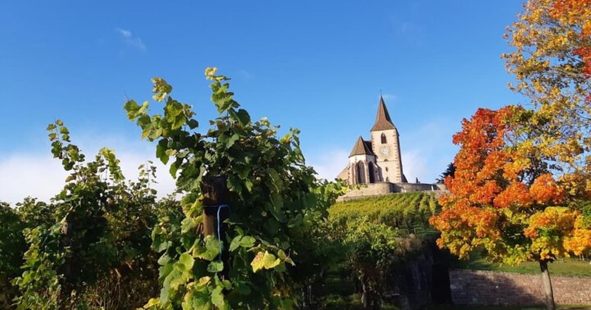 Icónicos Pueblos típicos y castillo de Haut Koenigsbourg