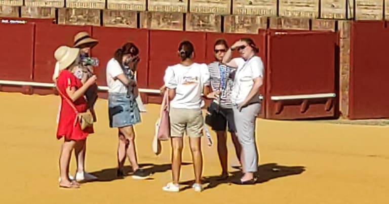 Seville Bullring Tours