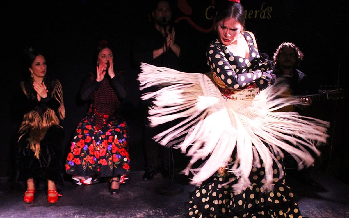 Madrid: Espectáculo Flamenco con Tapas y Ruta del Vino