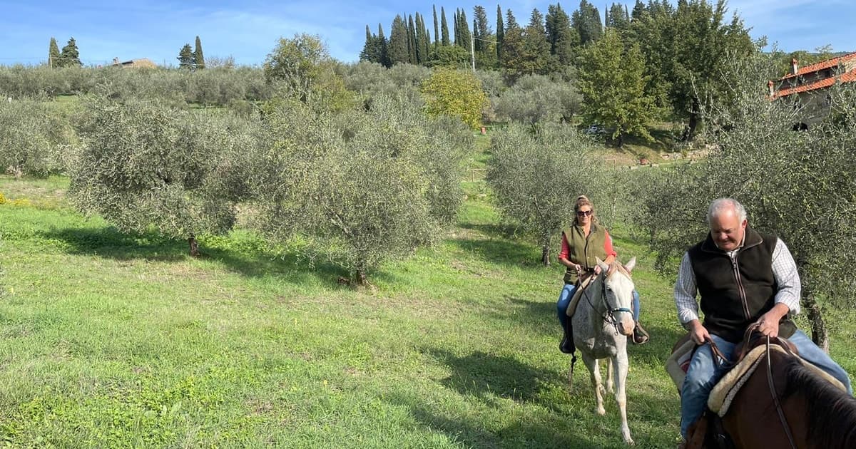 From Florence: Horseback Ride and Olive Oil and food tasting