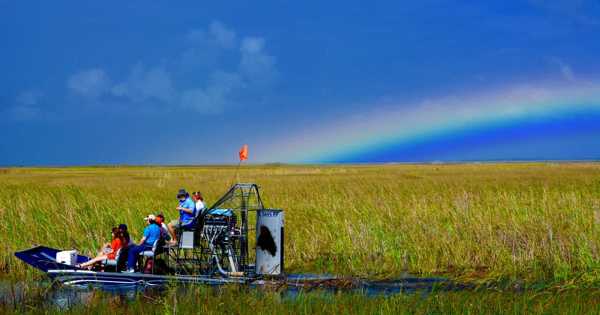 Miami: tour de 1 hora en hidrodeslizador por el río de hierba de los Everglades