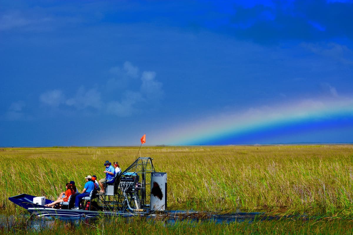 Miami: tour de 1 hora en hidrodeslizador por el río de hierba de los Everglades