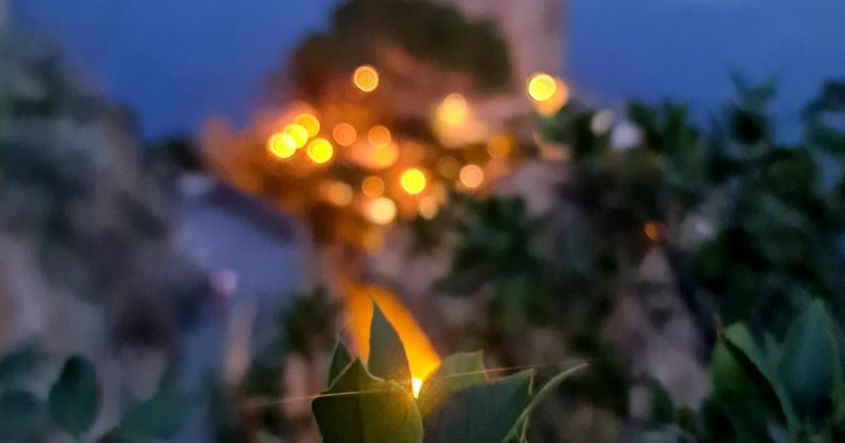 Cinque Terre: tour privado con un fotógrafo profesional