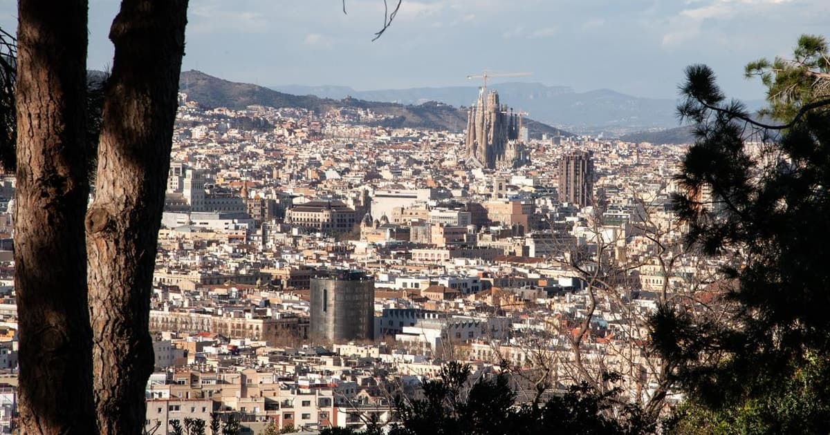 Barcelona: Montjuïc Walking Tour With Optional Flamenco Show