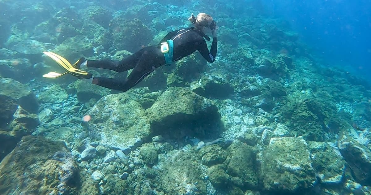 Tenerife: esnórquel submarino con un monitor de apnea