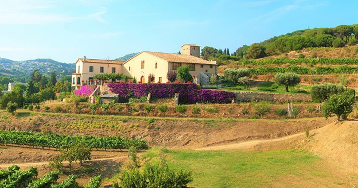 From Barcelona: Private Alella Wine Tour by Electric Bike
