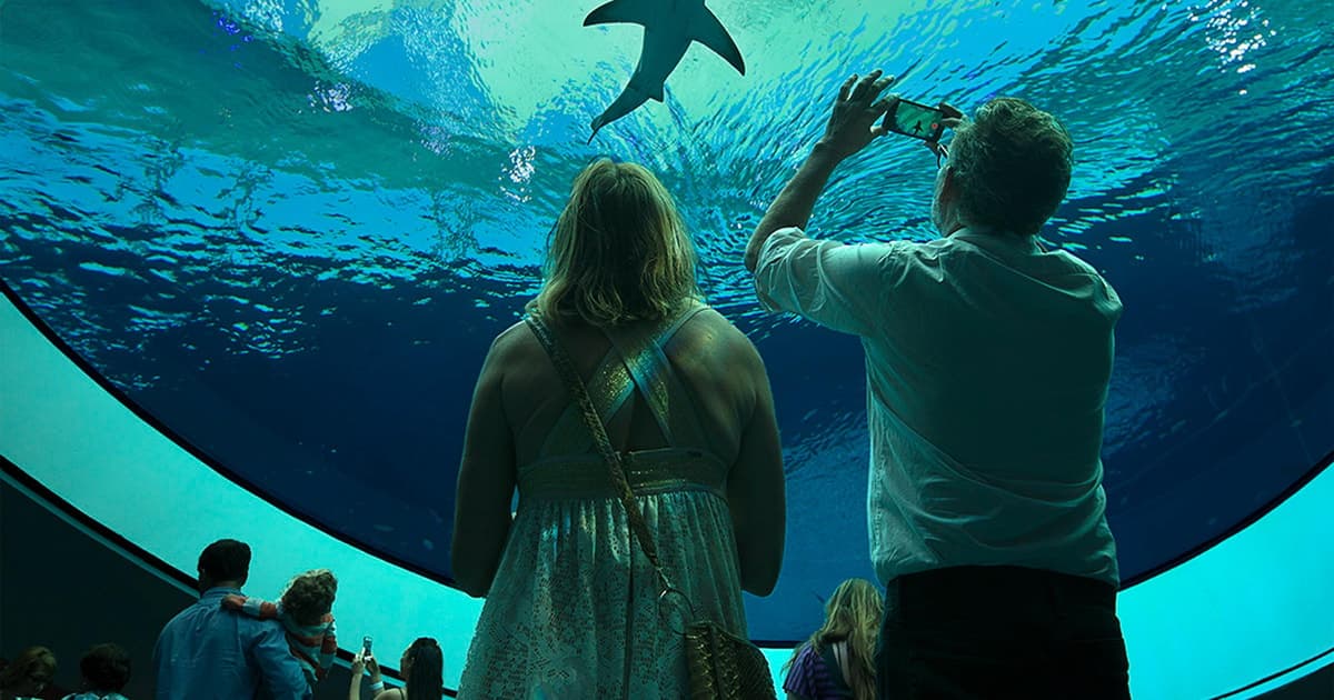 Miami: Ticket de entrada al Museo de Ciencia y Planetario Frost