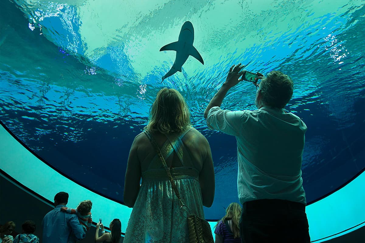 Miami: Ticket de entrada al Museo de Ciencia y Planetario Frost