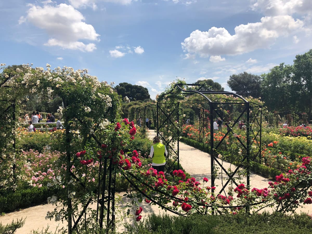 Madrid: Visita guiada a pie por la avenida del Prado y el parque del Retiro