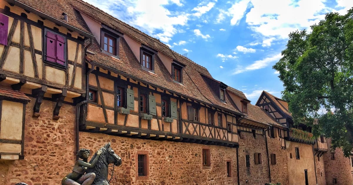 Desde Colmar: castillo, pueblos de Alsacia y cata de vino