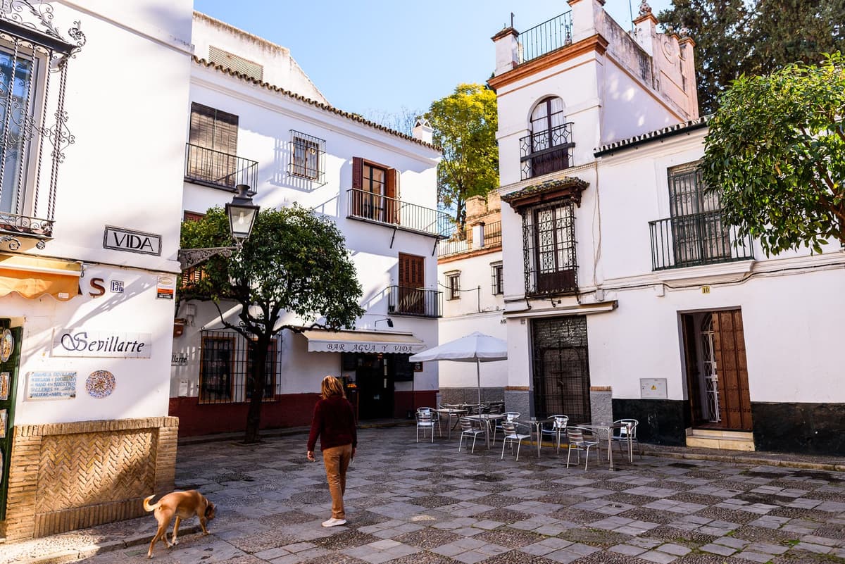 Sevilla: Santa Cruz Tour privado